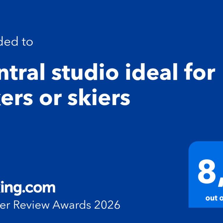 Central studio ideal for hikers or skiers - Appartement 1 Chambre - 2