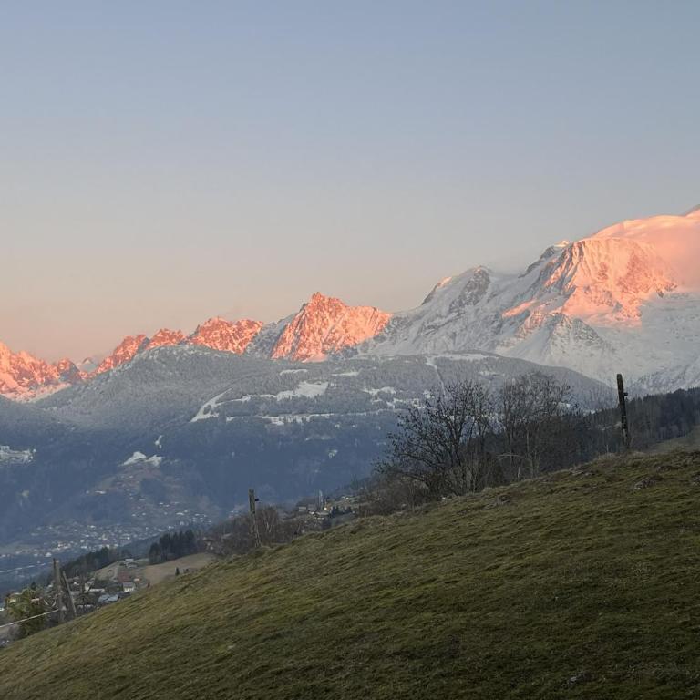 Terrasse du MtBlanc - Appartement avec Vue sur la Montagne - 24