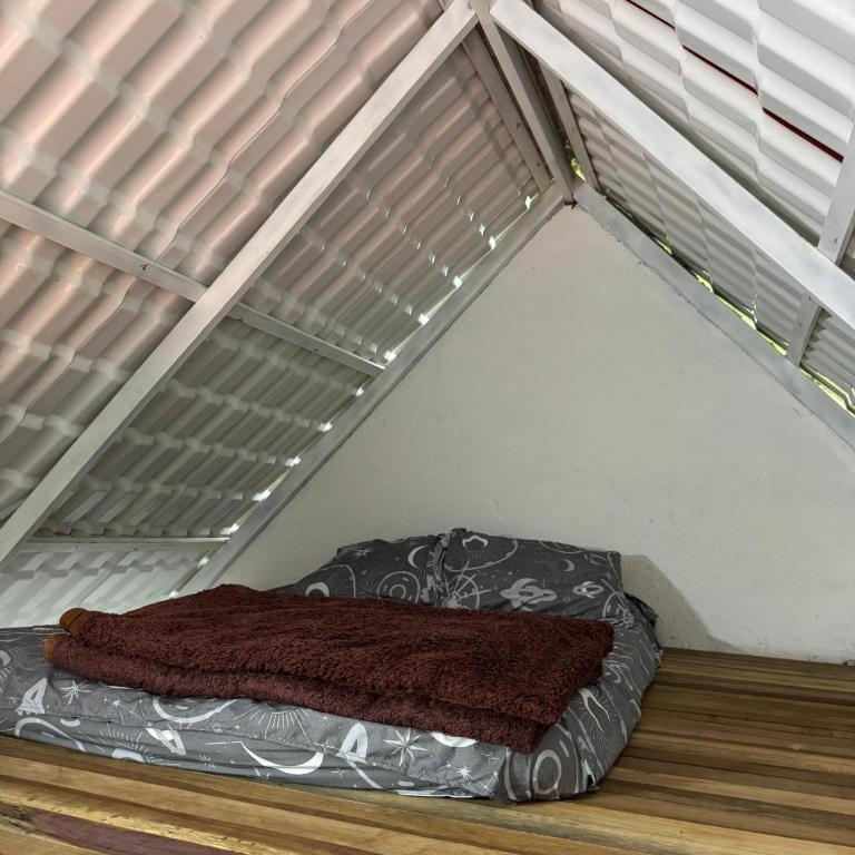 Entre Pinos - One-Bedroom House - 2