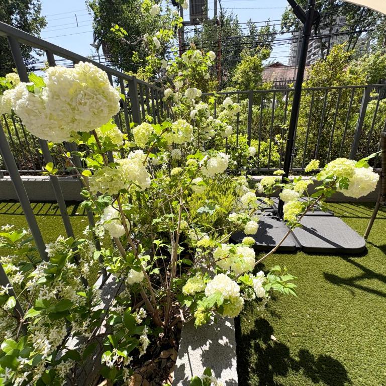 Pequeño oasis con terraza privada - One-Bedroom Apartment - 28