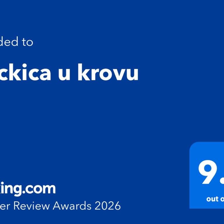 Kockica u krovu, free parking - One-Bedroom Apartment - 27