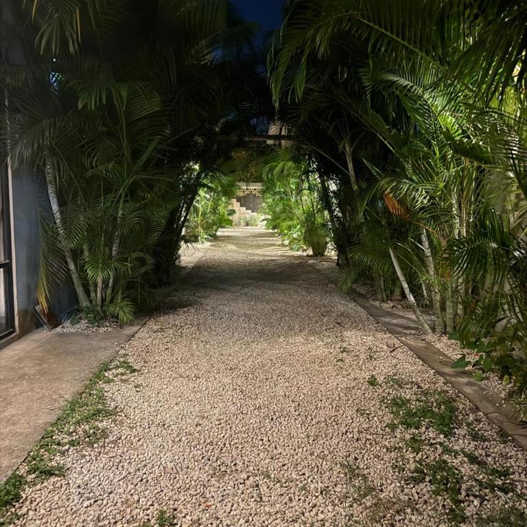 condo pacha tulum - Apartamento de 1 dormitorio - 9
