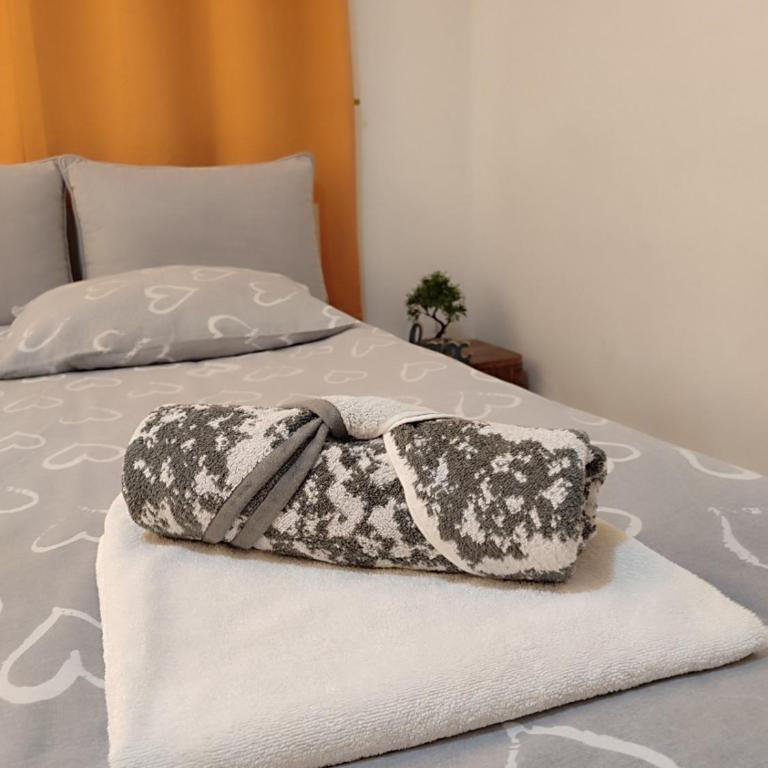 Sarajevo Main Street Residence - Apartman sa 2 Spavaće Sobe i Balkonom - 3