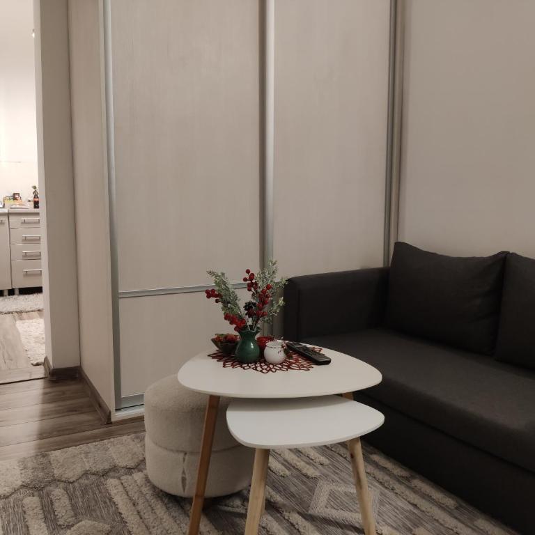 Apartman Nidal - Apartman sa 1 Spavaćom Sobom - 10