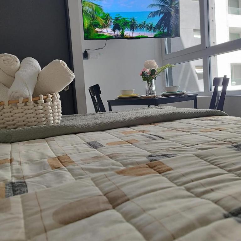 Cozy Home Studio - One-Bedroom Apartment - 2