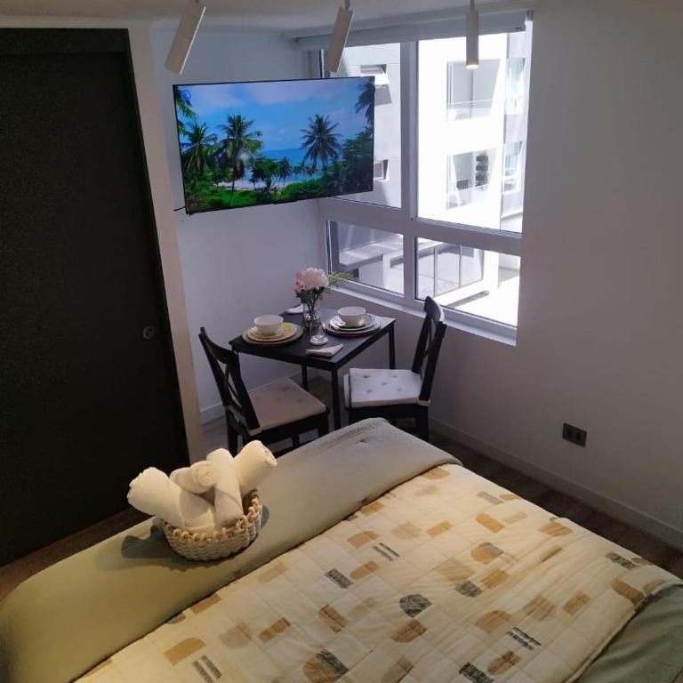 Cozy Home Studio - One-Bedroom Apartment - 3