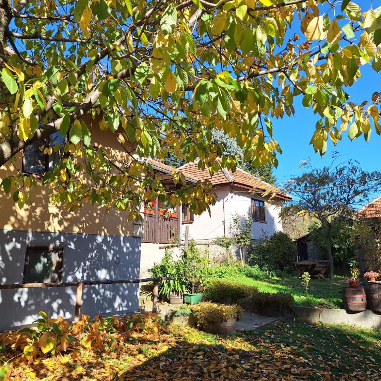 Domaćinstvo Drenak - Bešnjaja - One-Bedroom House - 5