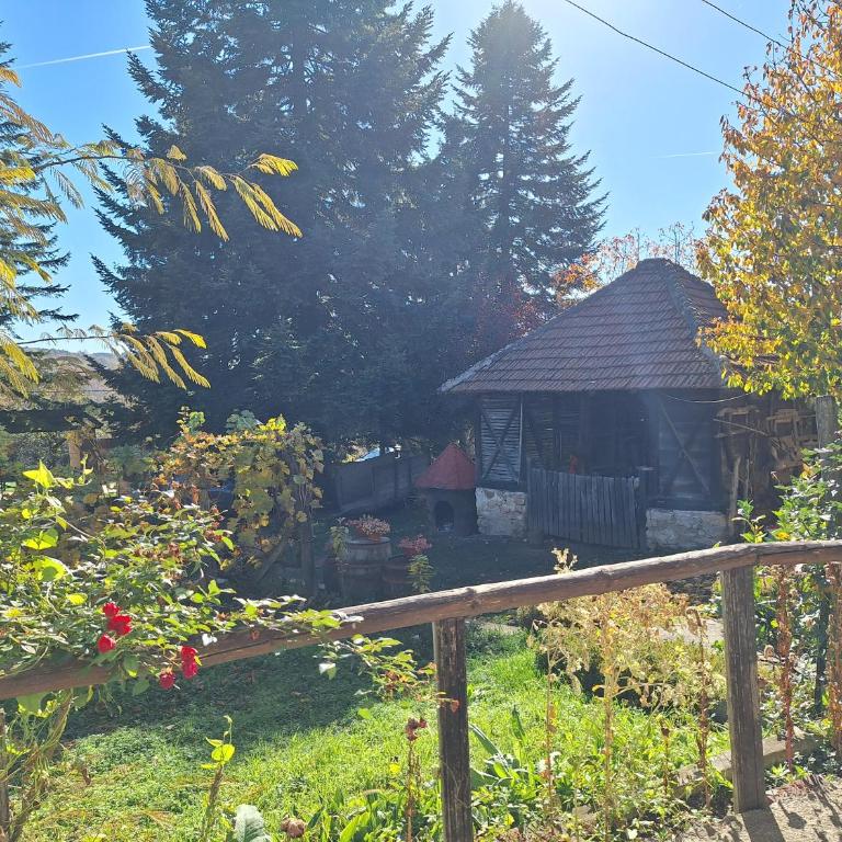 Domaćinstvo Drenak - Bešnjaja - One-Bedroom House - 11