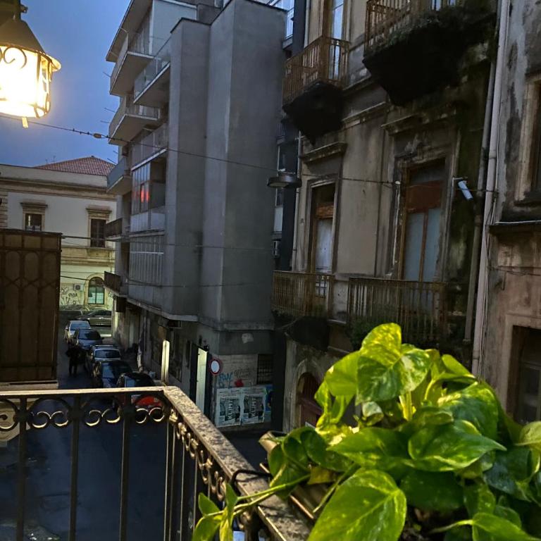Catania downtown room - One-Bedroom House - 19