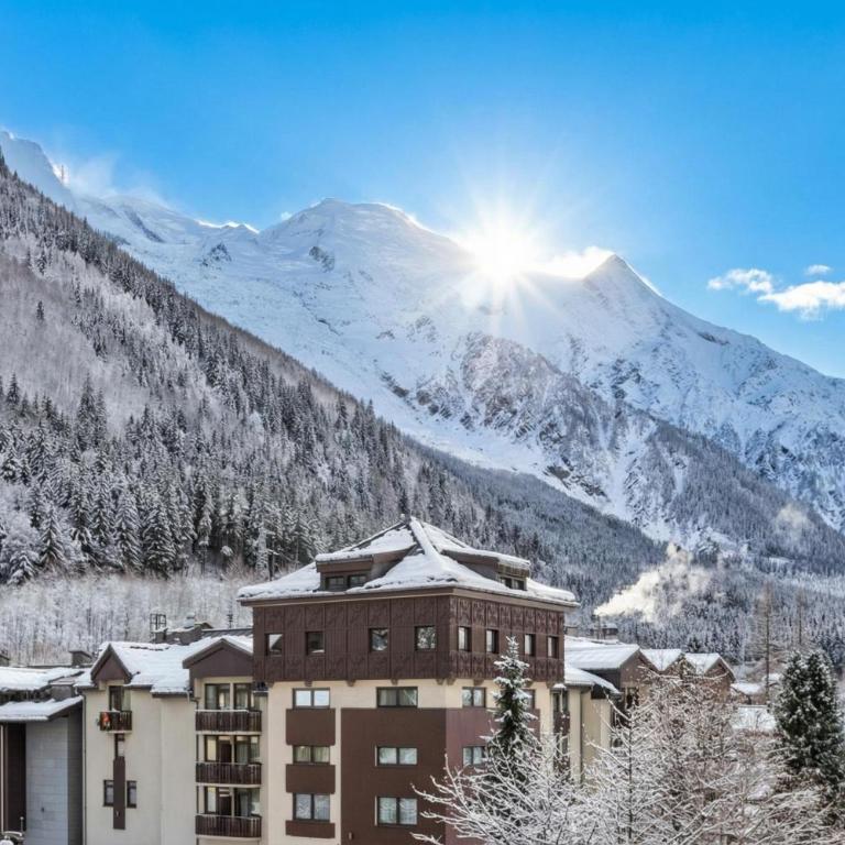 Les Marmottes En Chaussettes - Happy Rentals - Appartamento con Vista Montagna - 16