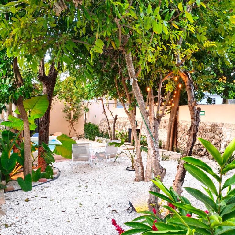 Villa Lara Palacios, tu oasis en Mérida - Double Room with Private Bathroom - 11