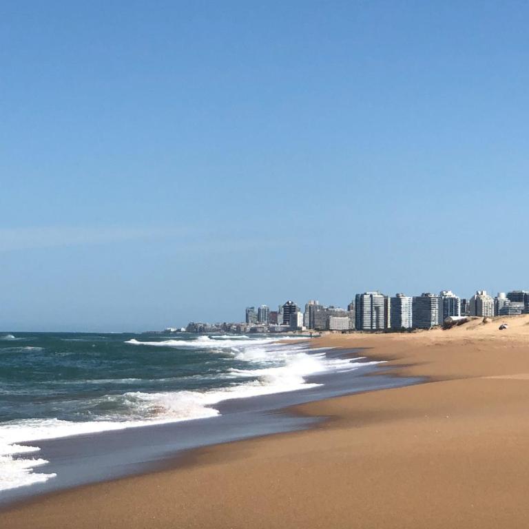 DragaInn - Frente al Mar en gran parque con piscina - Apartamento de 2 dormitorios - 31