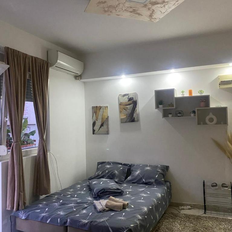 ---Studio Radosavljevic--- - Apartman - 5