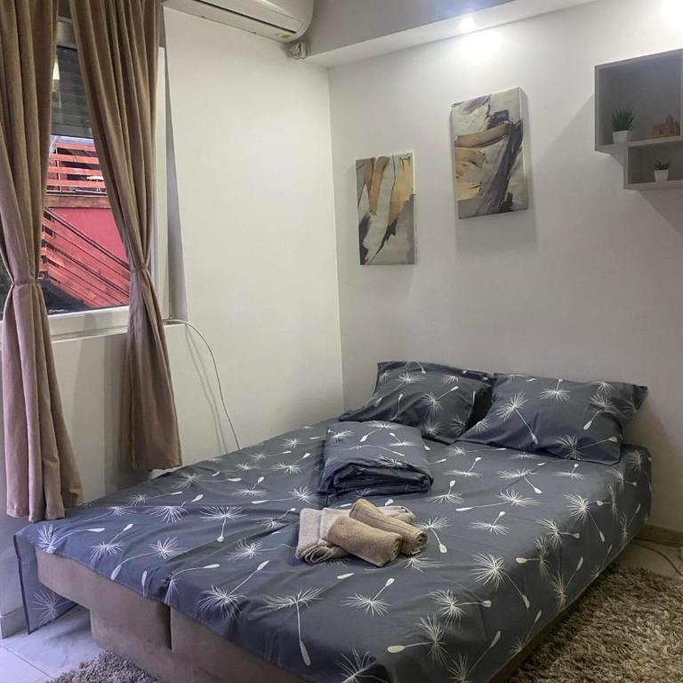 ---Studio Radosavljevic--- - Apartman - 8