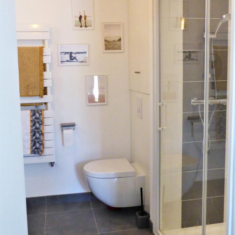 Très beau T2 avec jardin au cœur de saint Malo, proche gare, plage et vieille ville - Appartamento con 1 Camera da Letto - 7