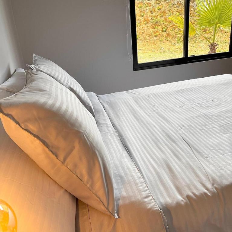 Santa Elena casa pino - Three-Bedroom House - 14