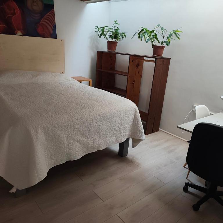 Depto casa celeste - Two-Bedroom Apartment with Terrace - 3
