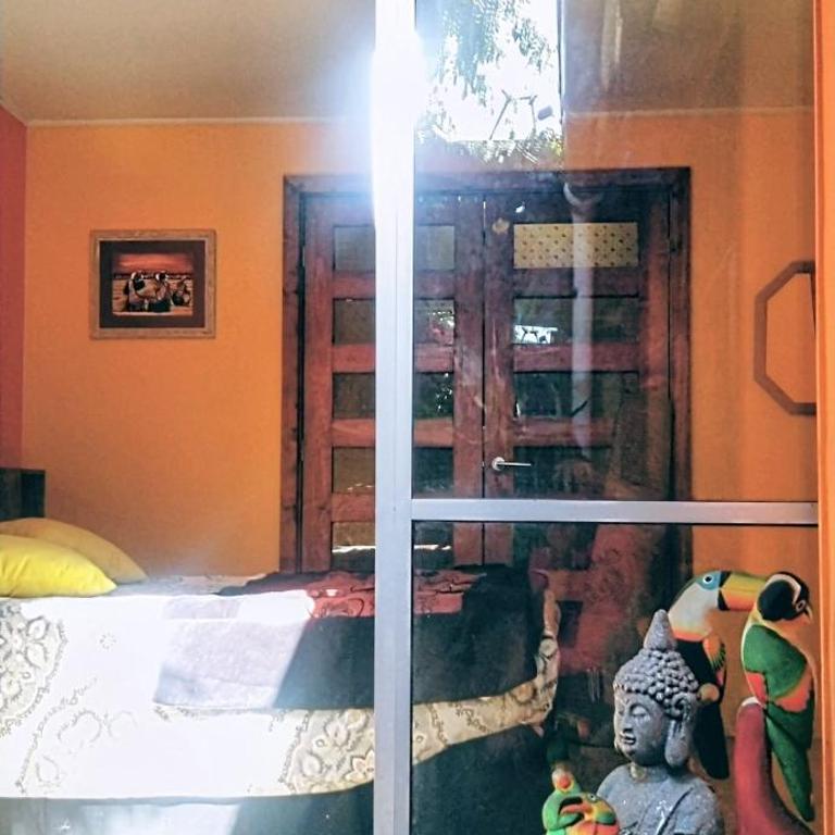 La Casa de los Cactus - Double Room with Terrace - 15