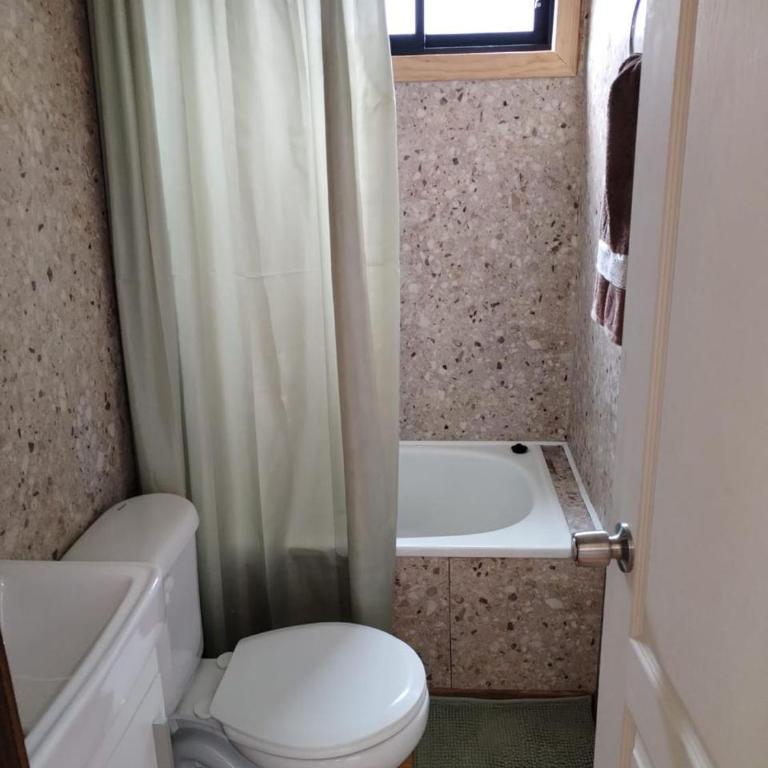 Quellón Cabaña - One-Bedroom Apartment - 6
