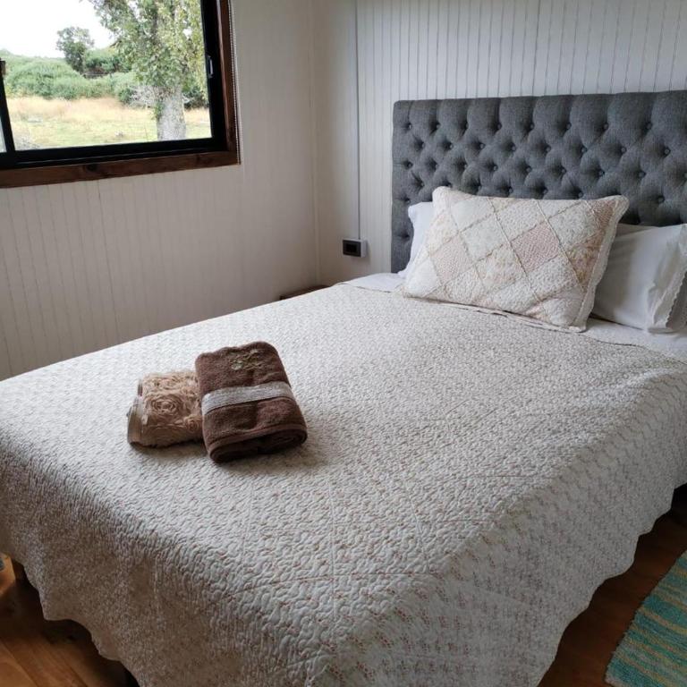 Quellón Cabaña - One-Bedroom Apartment - 5