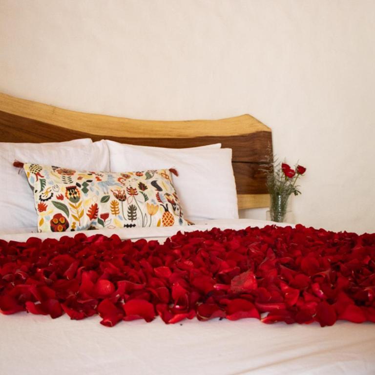 Hacienda San Patricio - Double Room with Terrace - 1