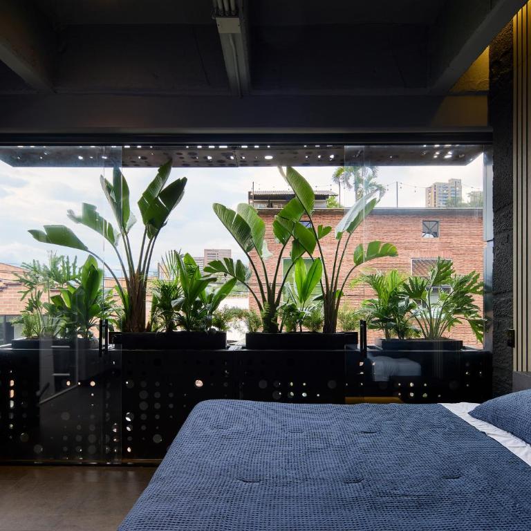 La Rock Club House - Three-Bedroom Deluxe Apartment - 4