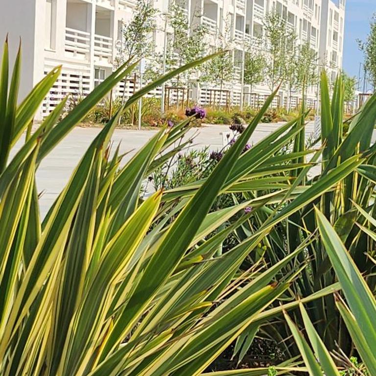 Port Leucate Superbe T3 Climatisé Proche Plage et Commerces - Appartement 2 Chambres - 5