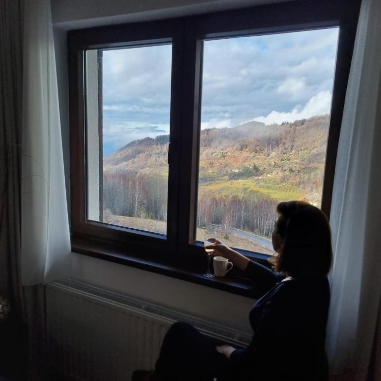 Cozy Mountain Apartment VIDIK - Apartman sa 1 Spavaćom Sobom - 18