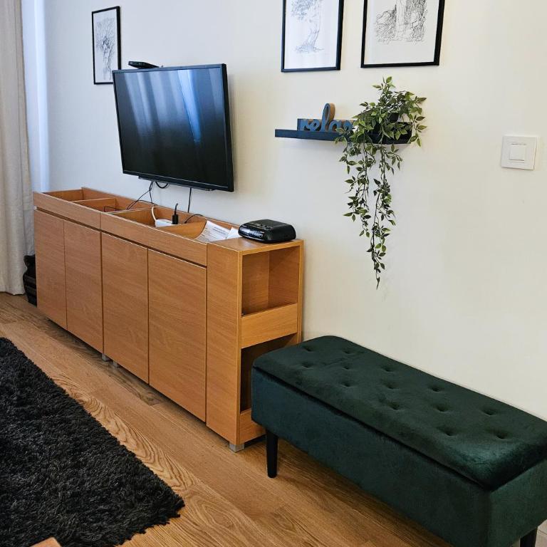 Cozy Mountain Apartment VIDIK - Apartman sa 1 Spavaćom Sobom - 6