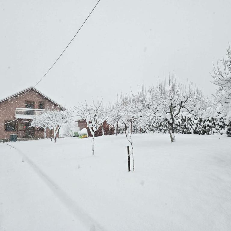 Villa Usivak for green quiet holiday near Sarajevo# TravelersAwards 2026 - Vila - 47