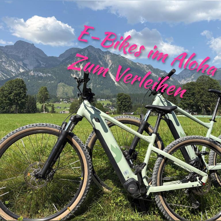 Aloha Suite - Schladming Dachstein - Apartment mit 2 Schlafzimmern und Terrasse - 14