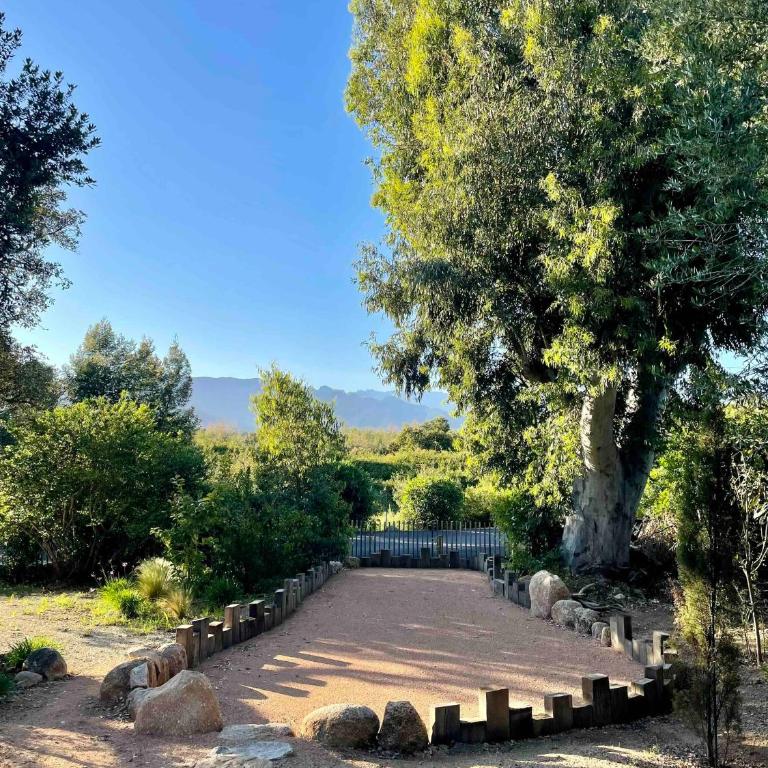 Villa Mare e Monte - Cala Rossa - Villa - 17