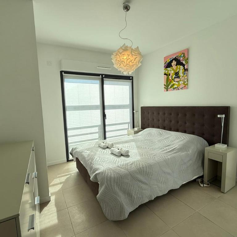 Superb apartment for 4 Sea view & terrace Private parking - Apartment - 4