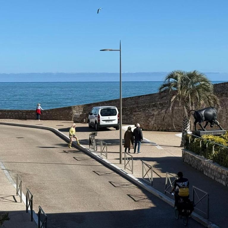 Superb apartment for 4 Sea view & terrace Private parking - Apartment - 7