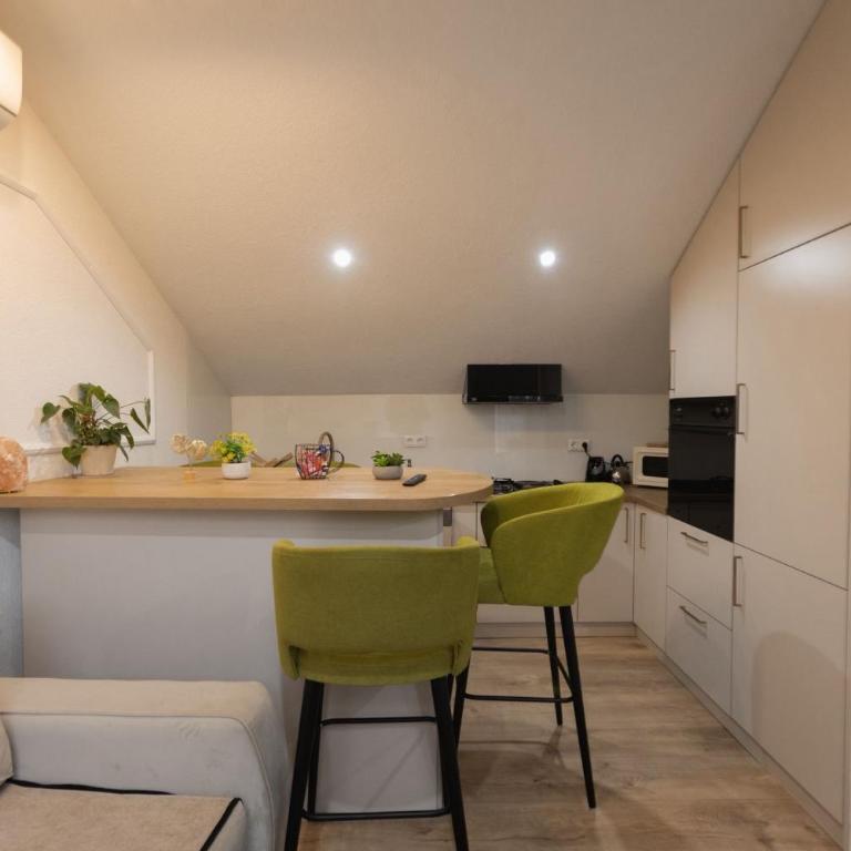Apartments HAN 2 Sarajevo - Apartman sa Pogledom na Grad - 19