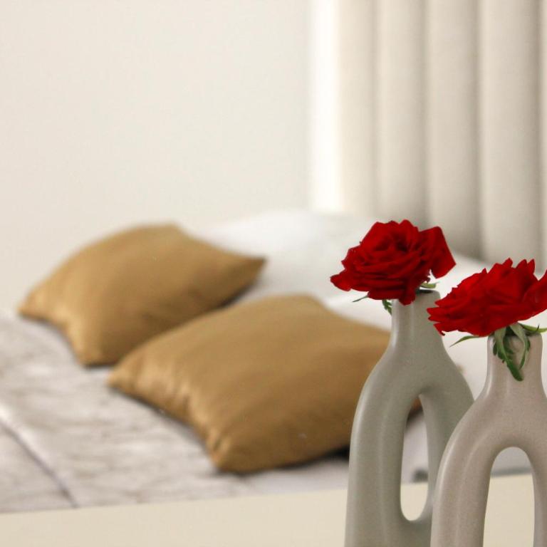 Villa Bojana - Apartman sa 1 Spavaćom Sobom - 8