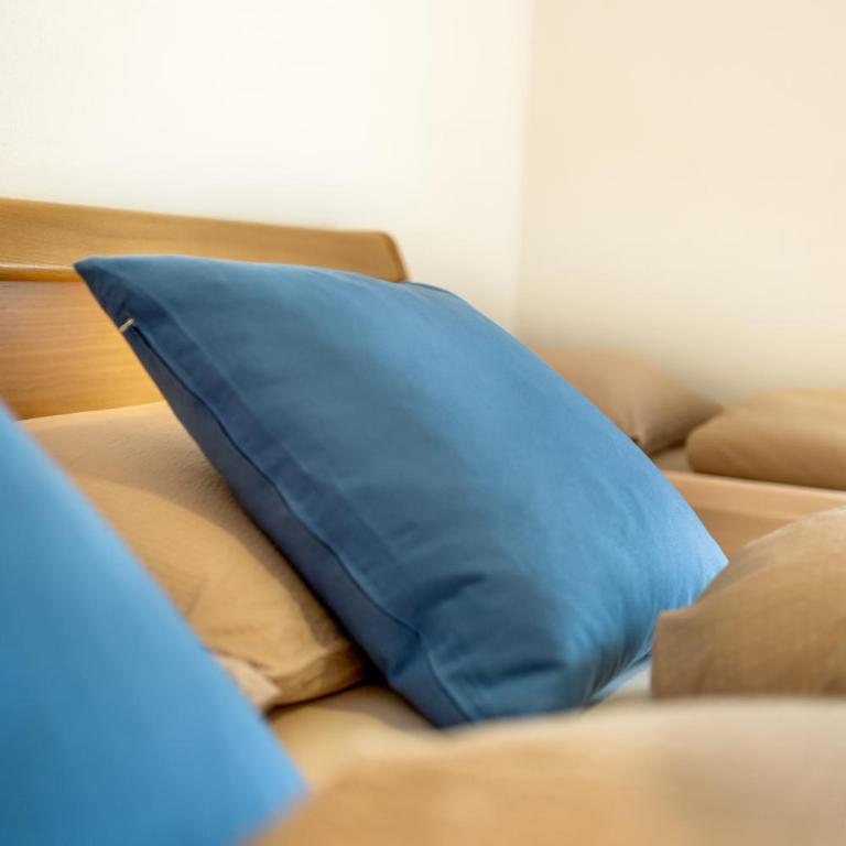 Holzerhof in St Lorenzen, Lothen Campolino - Appartamento con 1 Camera da Letto - 18