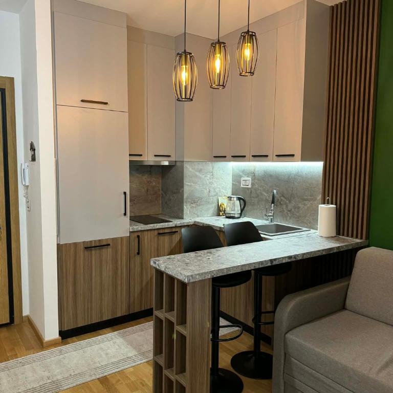 Apart-hotel Antique 10 - One-Bedroom Apartment - 4