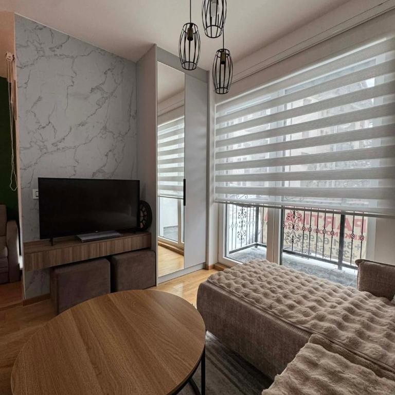 Apart-hotel Antique 10 - One-Bedroom Apartment - 6