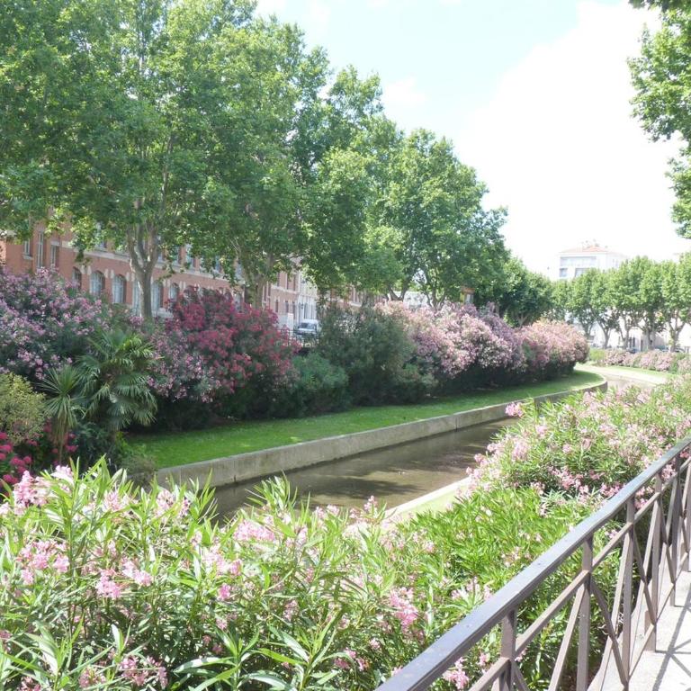 Charmant appartement lumineux - Centre ville de Perpignan - One-Bedroom Apartment - 2