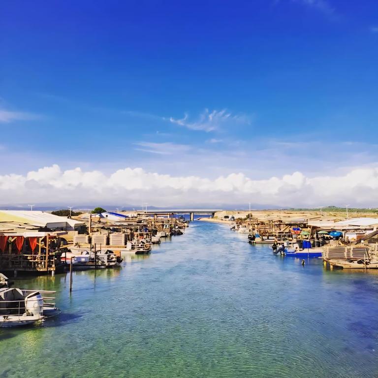 Port Leucate Superbe T3 Climatisé Proche Plage et Commerces - Appartement 2 Chambres - 25