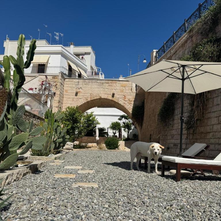 Lamanna SUMMER HOUSE - Camera Familiare con Bagno Privato - 26