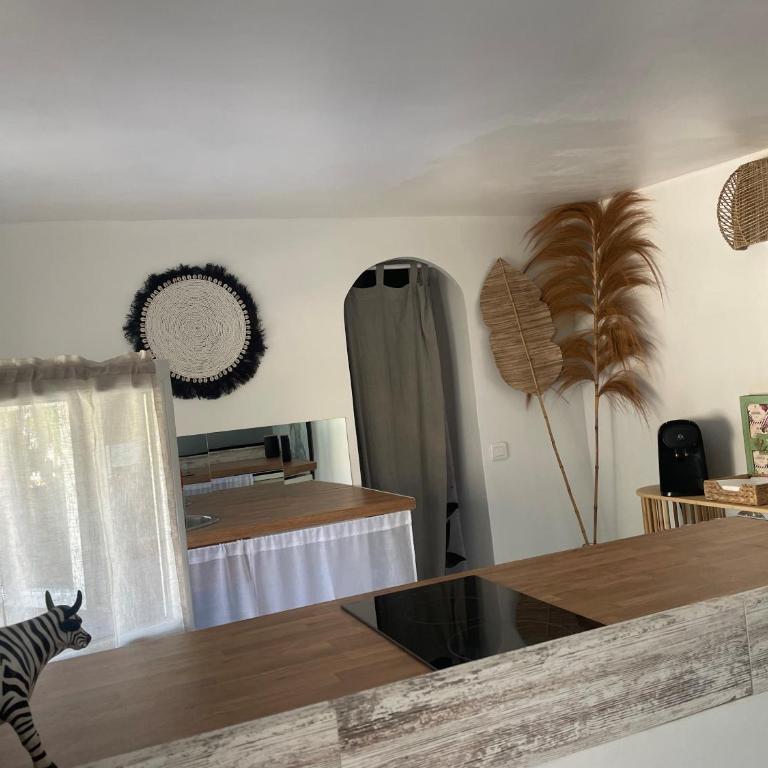 Le Mas de la Confrérie - Appartement - Vue sur Piscine - 6