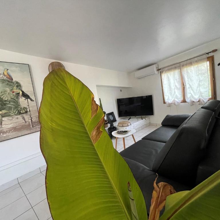 Le Mas de la Confrérie - Appartement - Vue sur Piscine - 5