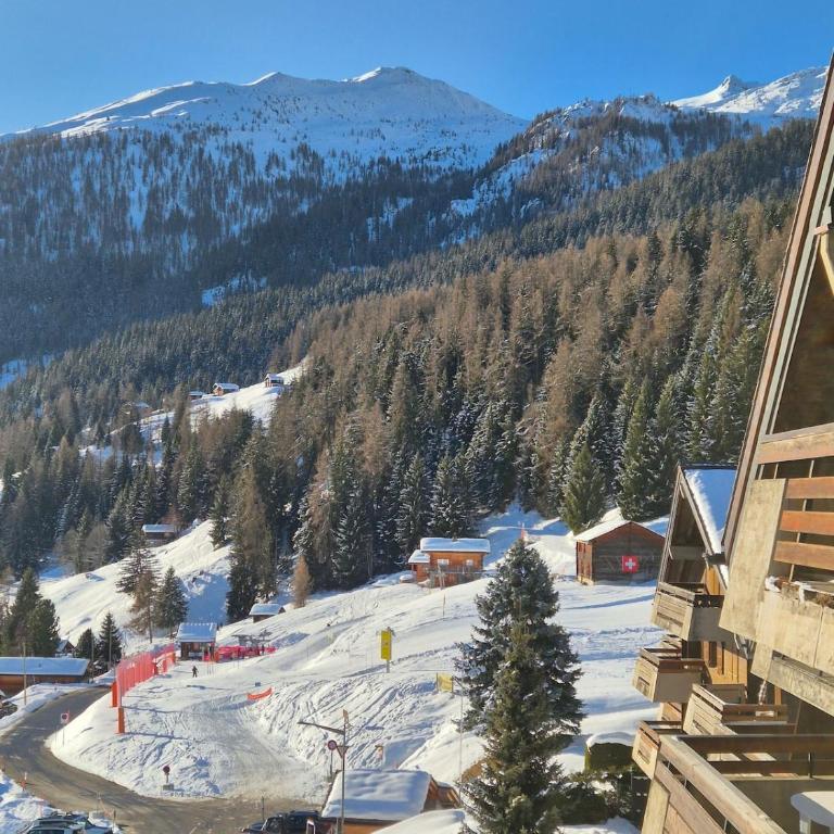 Winter Ski with stunning view - Apartment mit 1 Schlafzimmer, Balkon und Bergblick - 6