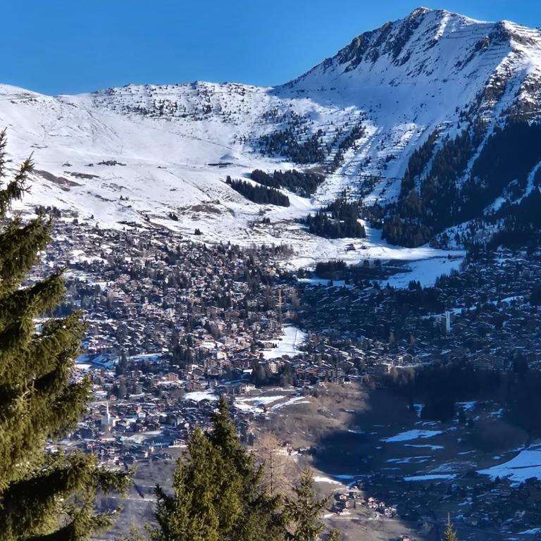 Winter Ski with stunning view - Apartment mit 1 Schlafzimmer, Balkon und Bergblick - 36
