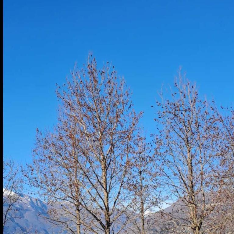 Vista Lago - Appartamento con 1 Camera da Letto - 28