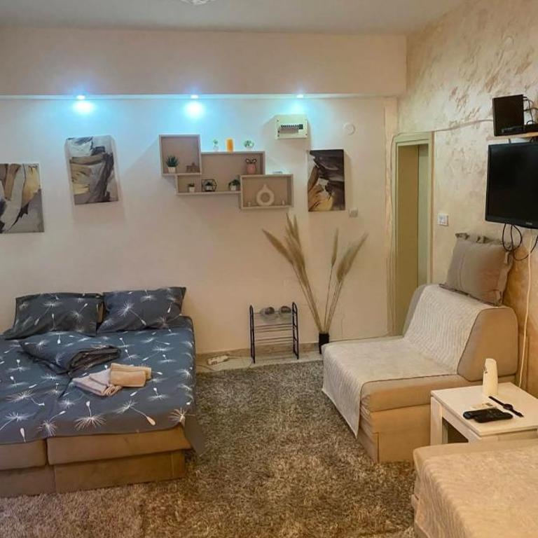 Apartmani Radosavljevic - Two-Bedroom Apartment - 1