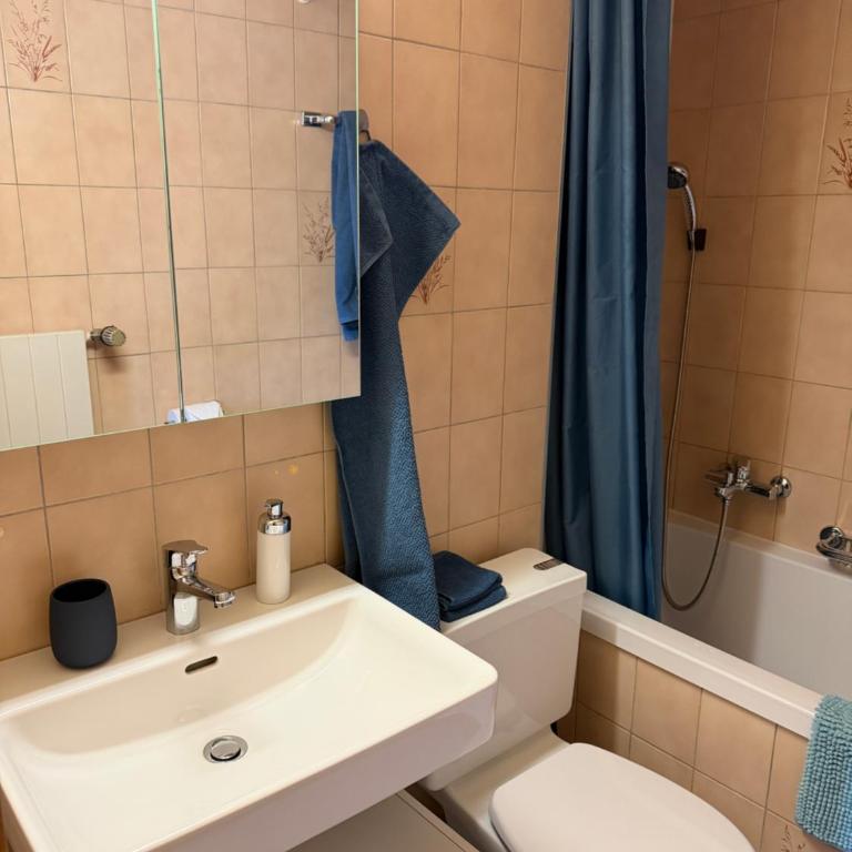 Gemütliches Studio im Zentrum - Apartment mit 1 Schlafzimmer - 12