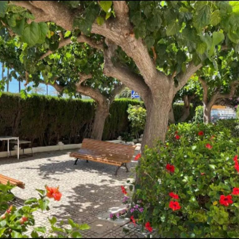 Frontal con vistas - Three-Bedroom Apartment - 20
